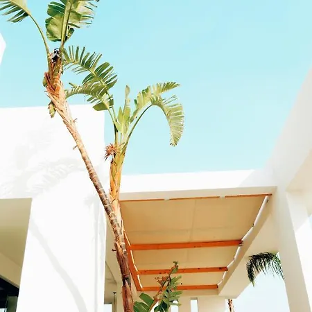 Ionian 4* Dhërmi