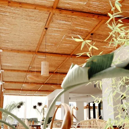 爱奥尼亚酒店 酒店 4*