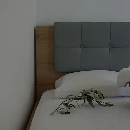 酒店 爱奥尼亚酒店 4*